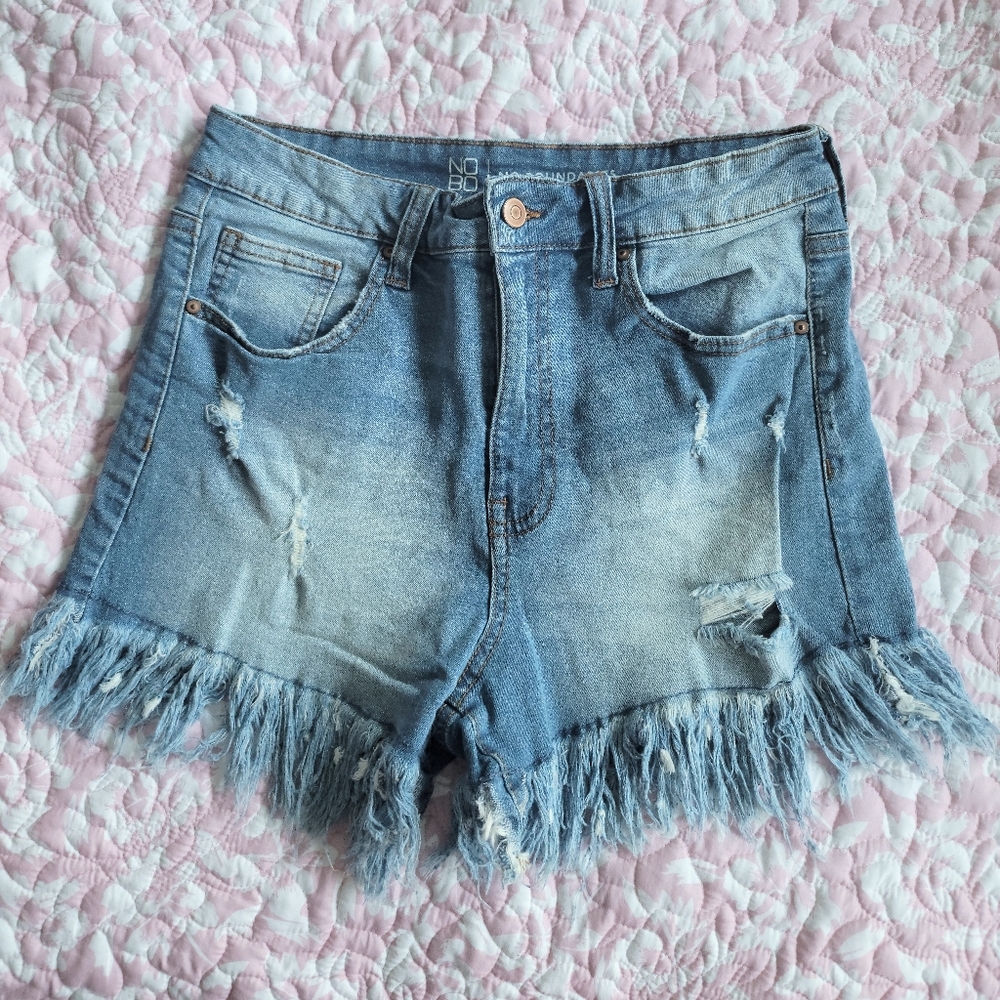 Denim Frayed Hem Women Shorts